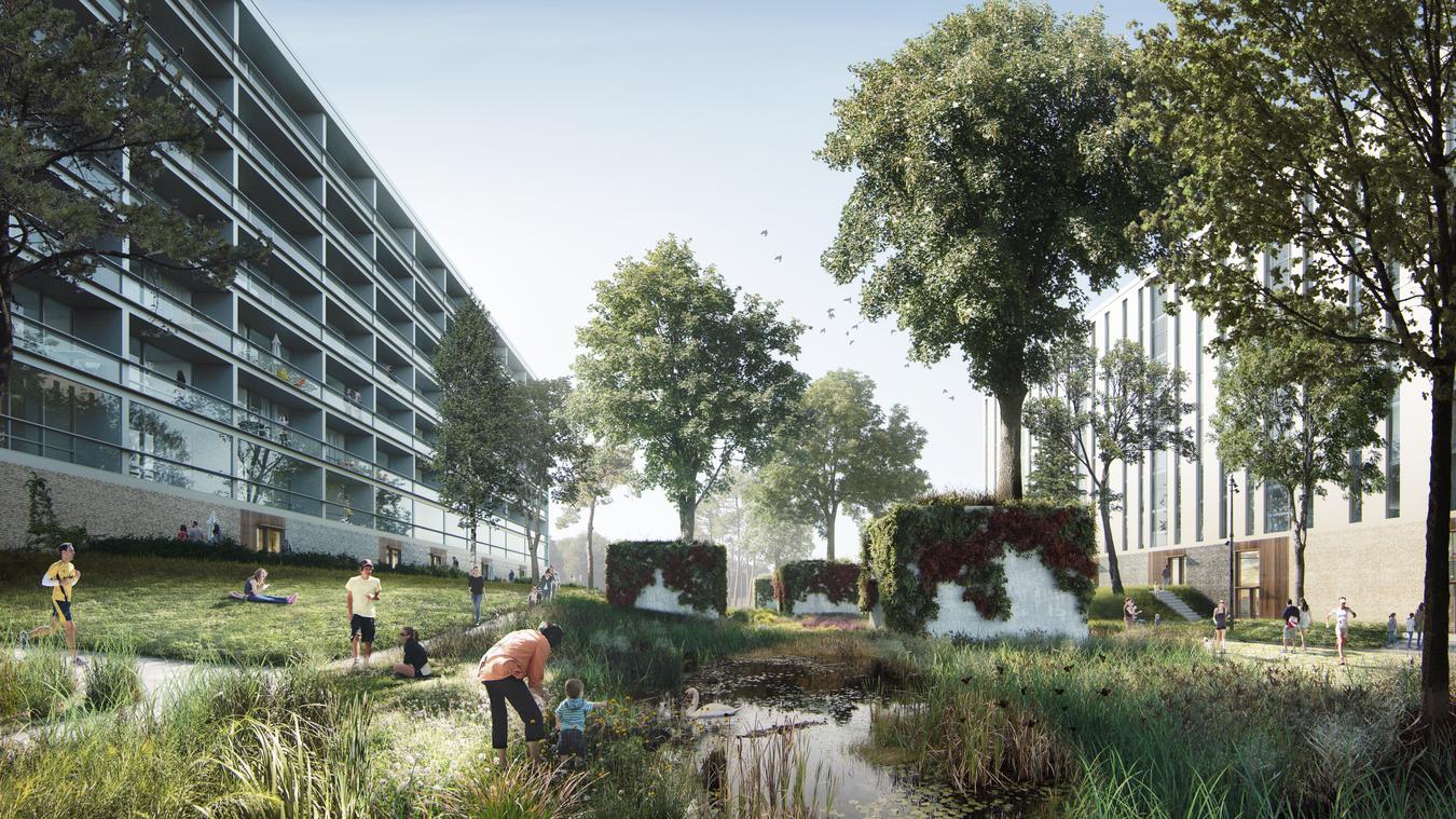 Residential complex with concrete and green gardens in the center. Illustration